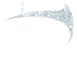 serendipitylogo