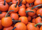 mini-zucca-di-halloween