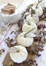 zucca-total-white-medium