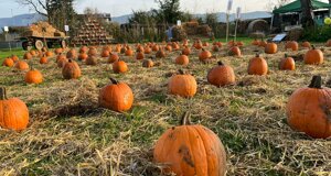 80340052_2612241925558078_3759645260876087296_o.jpeg 80340052_2612241925558078_3759645260876087296_o.jpeg