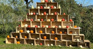 img-20240921-wa0006.jpeg img-20240921-wa0006.jpeg