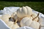 zucca-total-white-medium