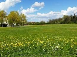 Concerto di Operetta a Lugo