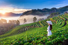 vietnam giroviaggiando.jpeg vietnam giroviaggiando.jpeg