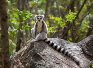 screenshot%202025-09-24%20alle%2023.04.10