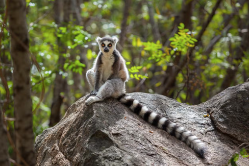 screenshot 2025-09-24 alle 22.04.01