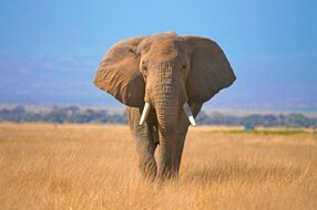 kenya -giroviaggiando - viaggio di gruppo.jpeg