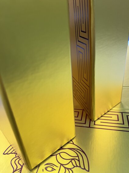 versace img_2425.jpeg