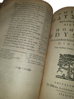 omero-homer-ilias-odissea-et-in-easdem-scholia-sive-interpretatio-didymi-cum-latina-versione-accuratissima-amstelodami-ex-officina-elzeviriana-16551656