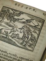 lucio-apuleio-l-asino-d-oro-di-lucio-apuleio-filosofo-platonico-tradotto-nuovamente-in-lingua-volgare-dal-molt-illustre-sig-pompeo-vizani-nobile-bolognese-aggiuntovi-le-figure-a-ciascuna-favola-in-venetia-per-domenico-louisa-a-rialto-1703