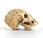 vanitas-teschio-in-avorio-marino-memento-mori-francia-o-germania-xix-secolo