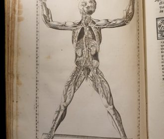 svevo.%20zeno. svevo.%20zeno.