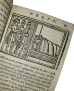 lucio-apuleio-l-asino-d-oro-di-lucio-apuleio-filosofo-platonico-tradotto-nuovamente-in-lingua-volgare-dal-molt-illustre-sig-pompeo-vizani-nobile-bolognese-aggiuntovi-le-figure-a-ciascuna-favola-in-venetia-per-domenico-louisa-a-rialto-1703