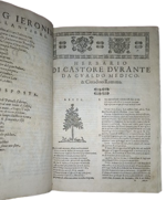 castore-durante-herbario-novo-con-figure-che-rappresentano-le-vive-piante-che-nascono-in-tutta-europa-nell-indie-orientali-occidentali-in-venetia-appresso-li-sessa-1617