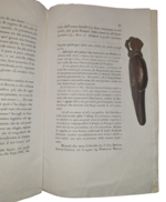 giuseppe-falier-leopoldo-cicognara-memorie-per-servire-alla-vita-del-marchese-antonio-canova-venezia-dalla-tipografia-di-alvisopoli-1823