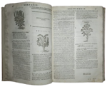 castore-durante-herbario-novo-con-figure-che-rappresentano-le-vive-piante-che-nascono-in-tutta-europa-nell-indie-orientali-occidentali-in-venetia-appresso-li-sessa-1617