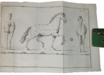 federigo-mazzucchelli-scuola-equestre-elementi-di-cavallerizza-il-cavallo-ammalato-avvertimenti-sulle-razze-dei-cavalli-sul-cavalcare-sulla-equitazione-convenevole-alle-donne-forli-bordandini-18411842
