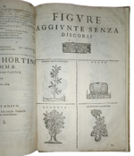 castore-durante-herbario-novo-con-figure-che-rappresentano-le-vive-piante-che-nascono-in-tutta-europa-nell-indie-orientali-occidentali-in-venetia-appresso-li-sessa-1617