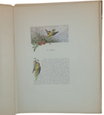 andre-theuriet-nos-oiseaux-aquarelles-de-hector-giacomelli-parigi-h-launette-et-compagnie-editeurs-1886