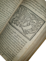 lucio-apuleio-l-asino-d-oro-di-lucio-apuleio-filosofo-platonico-tradotto-nuovamente-in-lingua-volgare-dal-molt-illustre-sig-pompeo-vizani-nobile-bolognese-aggiuntovi-le-figure-a-ciascuna-favola-in-venetia-per-domenico-louisa-a-rialto-1703