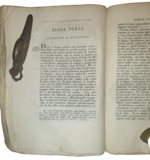luigi-lanzi-storia-pittorica-della-italia-dal-risorgimento-delle-belle-arti-fin-presso-al-fine-del-xviii-secolo-in-bassano-presso-giuseppe-remondini-e-figli-1809