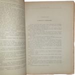 luigi-motta-il-vendicatore-di-brahama-romanzo-d-avventure-illustrato-dal-pittore-gennaro-amato-milano-l-italica-1923