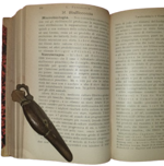 luigi-ferrannini-manuale-di-organoterapia-batterioterapia-vaccinoterapia-e-sieroterapia-citoterapia-palermo-amministrazione-della-terapia-clinica-1902