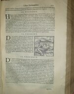 giovanni-pierio-valeriano-bolzone-di-bellune-giovanni-pietro-bolzani-dalle-fosse-ieroglifici-overo-commentari-delle-occulte-significationi-de-gli-egittij-in-venetia-appresso-gio-antonio-e-giacomo-de-franceschi-1602
