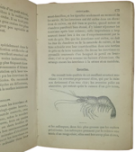jules-breteuil-le-cuisinier-europeen-ouvrage-contenant-les-meilleures-recettes-des-cuisines-francaises-et-etrangeres-pour-la-preparation-des-potages-sauces-ragouts-entrees-rotis-fritures-entremets-paris-garnier-freres-1880-ca