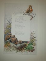 andre-theuriet-nos-oiseaux-aquarelles-de-hector-giacomelli-parigi-h-launette-et-compagnie-editeurs-1886