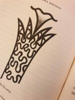 zandra-rhodes-iconic-my-life-in-fashion-in-50-objects-london-bantam-with-penguin-random-house-uk-2024-autografato