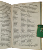 bartolomeo-castelli-lexicon-medicum-graeco-latinum-ex-hippocrate-et-galeno-desumptum-venetiis-apud-io-baptistae-cestari-franciscum-bolzettam-1642