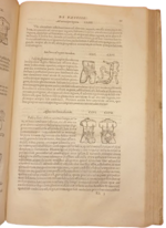 conrad-gessner-chirurgia-de-chirurgia-scriptores-optimi-quique-veteres-et-recentiores-plerique-in-germania-antehac-non-editi-nunc-primum-in-unum-coniuncti-volumen-tiguri-per-andream-gessnerum-et-iacobum-gessnerum-fratres-mense-martio-1555
