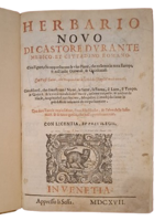 castore-durante-herbario-novo-con-figure-che-rappresentano-le-vive-piante-che-nascono-in-tutta-europa-nell-indie-orientali-occidentali-in-venetia-appresso-li-sessa-1617