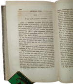 francesco-telesforo-pasero-trattato-di-patologia-dell-orecchio-del-naso-e-della-bocca-torino-tipografia-baricco-e-arnaldi-1848