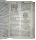 castore-durante-herbario-novo-con-figure-che-rappresentano-le-vive-piante-che-nascono-in-tutta-europa-nell-indie-orientali-occidentali-in-venetia-appresso-li-sessa-1617