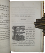 eugene-dulac-physiologie-et-hygiene-de-la-barbe-et-des-moustaches-paris-charles-lachapelle-editeurs-1842