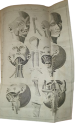 jacob-benignus-winslow-winslw-exposition-anatomique-de-la-structure-du-corps-humain-a-paris-chez-guillaume-desprez-et-jean-desessartz-1732