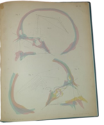 dr-hermann-welcker-untersuchungen-uber-wachsthum-und-bau-des-menschlichen-schadels-leipzig-verlag-von-wilhelm-engelmann-1862