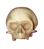 vanitas-teschio-in-avorio-marino-memento-mori-francia-xix-secolo