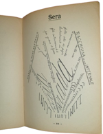 nelson-morpurgo-futurista-il-fuoco-delle-piramidi-liriche-e-parole-in-liberta-con-prefazione-di-ft-marinetti-milano-edizioni-futuriste-di-poesia-1923