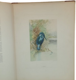 andre-theuriet-nos-oiseaux-aquarelles-de-hector-giacomelli-parigi-h-launette-et-compagnie-editeurs-1886