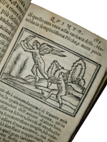 lucio-apuleio-l-asino-d-oro-di-lucio-apuleio-filosofo-platonico-tradotto-nuovamente-in-lingua-volgare-dal-molt-illustre-sig-pompeo-vizani-nobile-bolognese-aggiuntovi-le-figure-a-ciascuna-favola-in-venetia-per-domenico-louisa-a-rialto-1703