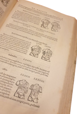 conrad-gessner-chirurgia-de-chirurgia-scriptores-optimi-quique-veteres-et-recentiores-plerique-in-germania-antehac-non-editi-nunc-primum-in-unum-coniuncti-volumen-tiguri-per-andream-gessnerum-et-iacobum-gessnerum-fratres-mense-martio-1555