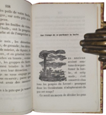 eugene-dulac-physiologie-et-hygiene-de-la-barbe-et-des-moustaches-paris-charles-lachapelle-editeurs-1842