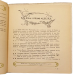 maria-antonietta-mola-per-fiume-nostra-parole-di-verita-e-di-vita-como-tipografia-editrice-cavalleri-24-maggio-1924