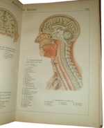paul-ebenhoch-theodor-himmelein-der-bau-des-menschlichen-korpers-anatomische-beschreibung-des-menschen-fur-schule-und-haus-esslingen-und-munchen-jf-schreiber-1895
