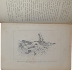 rudyard-kipling-captains-courageous-a-story-of-the-grand-banks-london-macmillan-and-co-1897