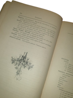 ernst-von-malortie-das-menu-eine-culinarische-studie-hannover-klindworths-verlag-1878