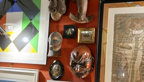 dodo-removebg-preview